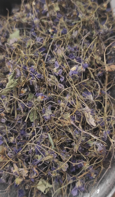 گل بنفشه خشک معطر دمنوش گیاهی